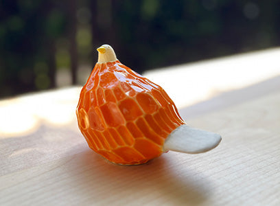 いろとりどり 柴田 菜月 | FLYING APARTMENT オンラインショップ